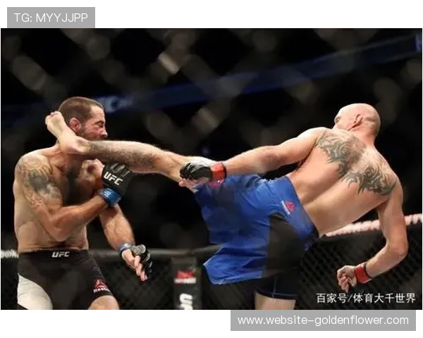 老兵马特·布朗呼吁UFC更换比赛手套设计以保障安全 老兵马特·布朗呼吁UFC更换比赛手套设计以保障安全