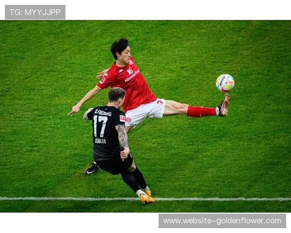 德甲俱乐部开放训练课，万名小球员参与互动