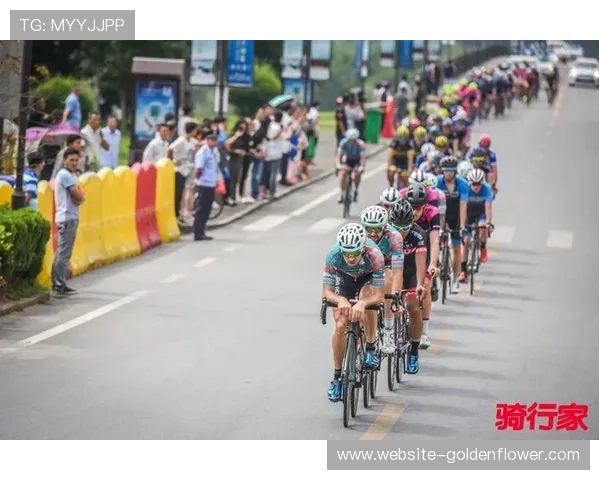 桨板锦标赛男女混合龙板冲刺赛 团队协作成制胜关键 桨板锦标赛男女混合龙板冲刺赛 团队协作成制胜关键